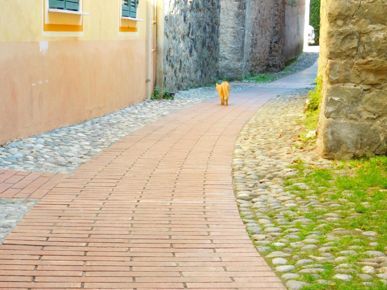 Bellissima Casa Nel Centro Storico!!! Apartment Levanto Bagian luar foto